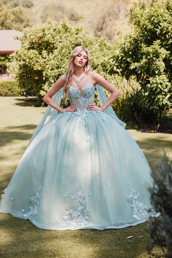 Juliet JT1466H ball gown front view option 2