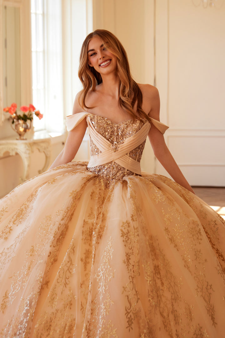 Juliet JT1488H quinceanera ball gown front view, option 2