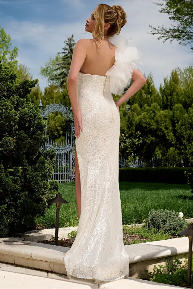 JOVANI 39617 DRESS - FOSTANI.com