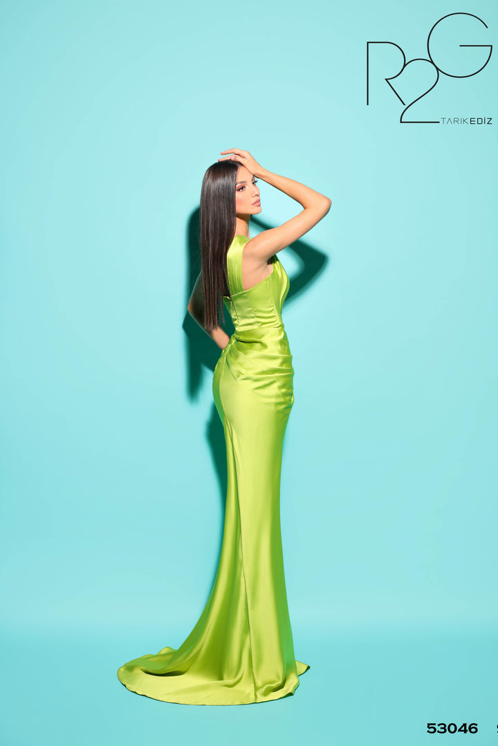 TARIK EDIZ 53046 DRESS - FOSTANI