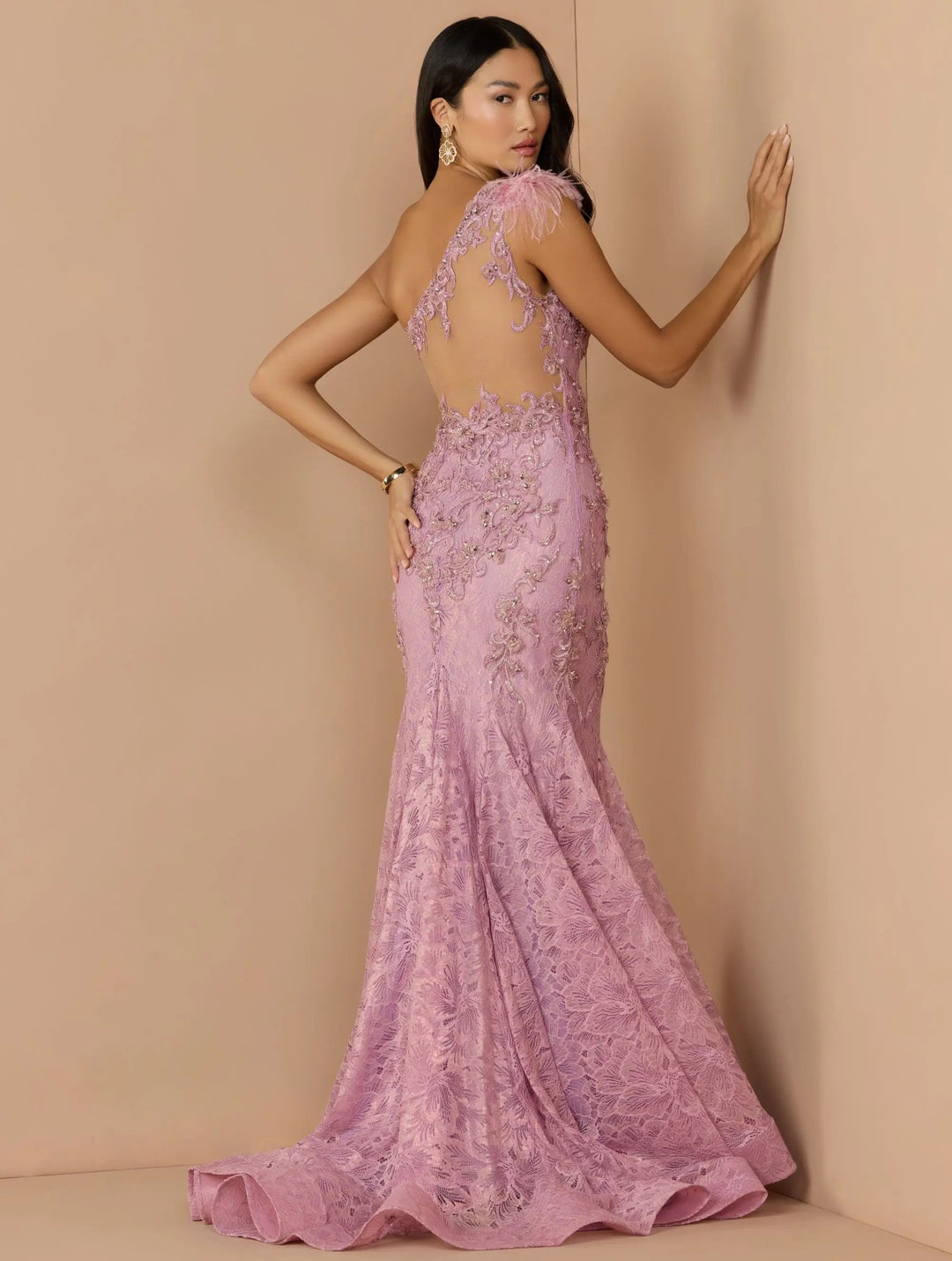 Mac Duggal 79264 Pink Embellished Lace One Shoulder Gown With Feather Detail