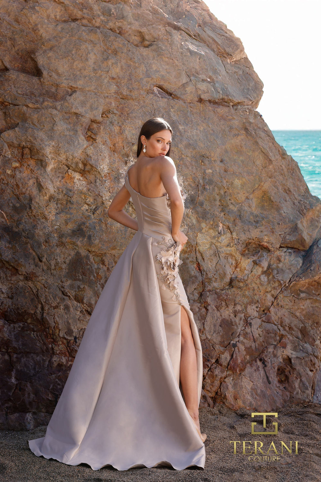 Terani 252E5116 Dress - FOSTANI.com