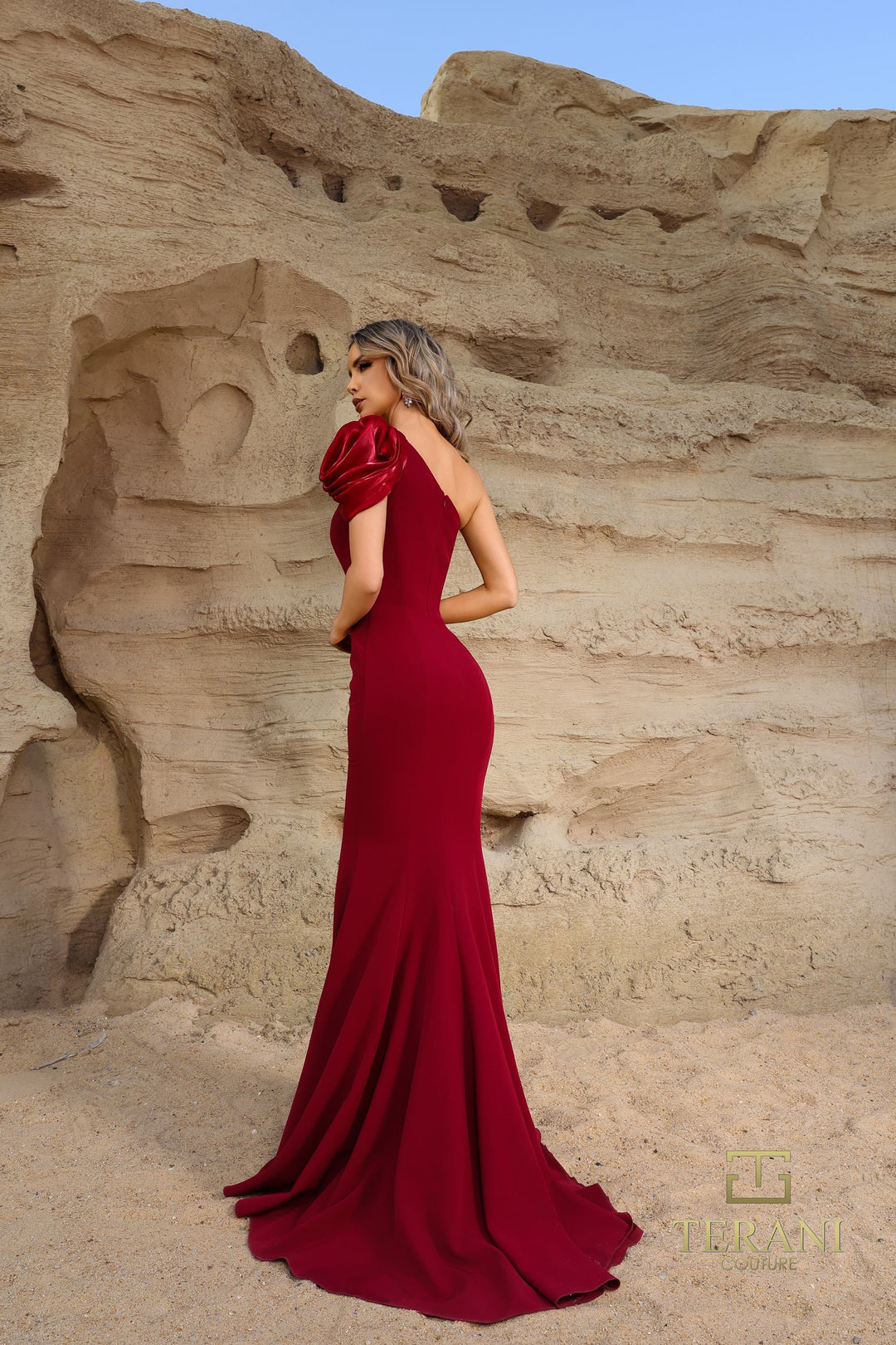 Terani 252E5514 Dress - FOSTANI.com