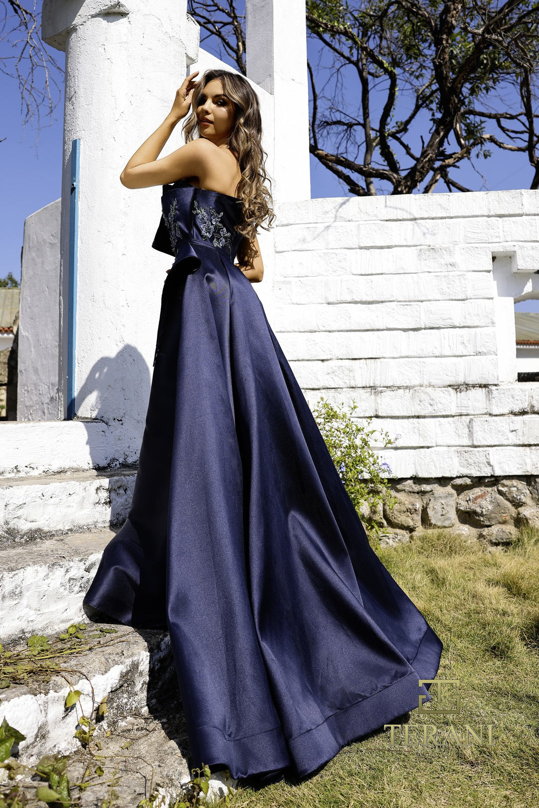 Terani 252M5309 Dress - FOSTANI.com