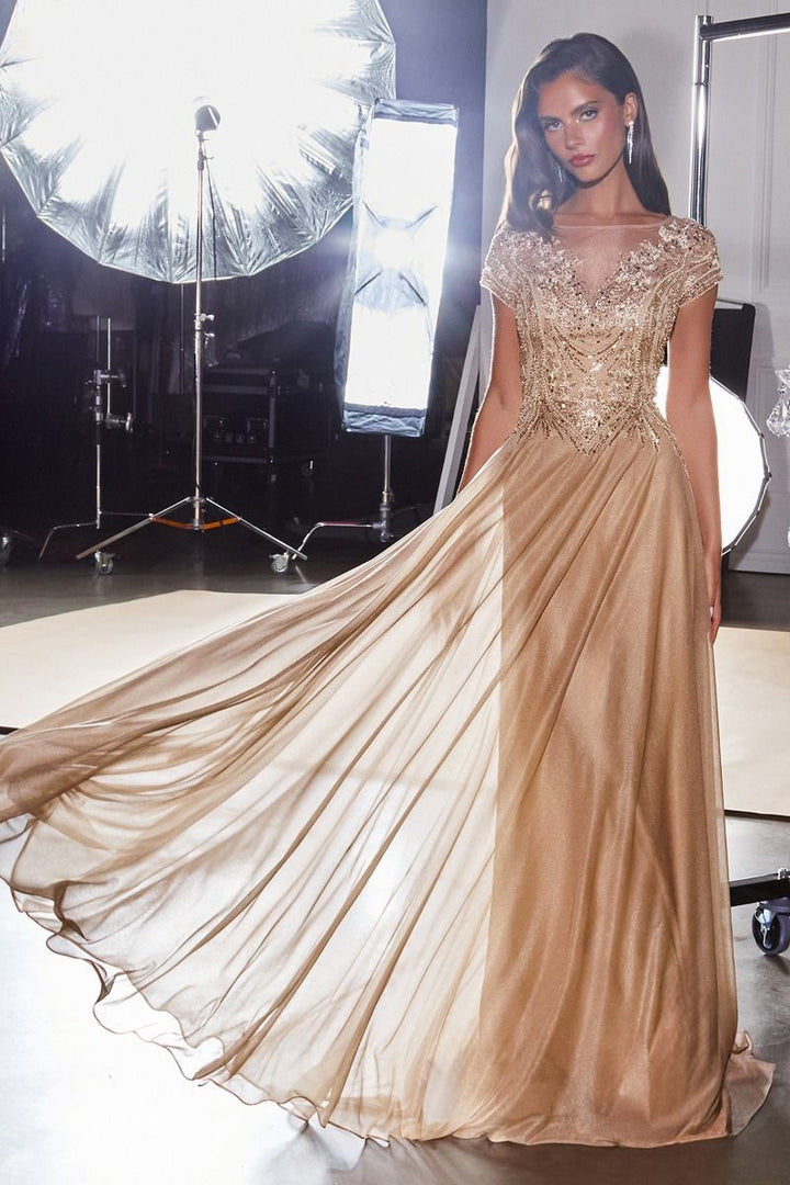 Ladivine CL11 V-Neckline Beaded A-Line Ball Gown Dress
